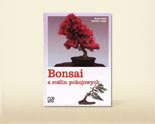 Bonsai z roślin pokojowych